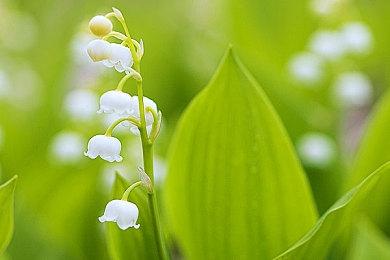 《双截龙外传：龙之崛起》新预告展示合作玩法及新角色